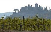Туры в отель Castello Vicchiomaggio