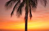 Туры в отель TAMA Hotel Santa Marta