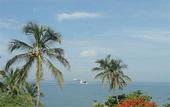 Туры в отель TAMA Hotel Santa Marta