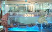 Туры в отель Hotel Villa de Betanzos