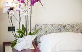 Туры в отель Villa Ermellina Siena, a Tribute Portfolio Hotel