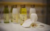 Туры в отель Villa Ermellina Siena, a Tribute Portfolio Hotel