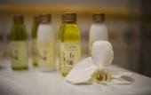Туры в отель Villa Ermellina Siena, a Tribute Portfolio Hotel