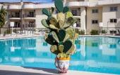 Туры в отель 4 Spa Resort Hotel
