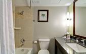 Туры в отель Doubletree by Hilton Hotel Kamloops
