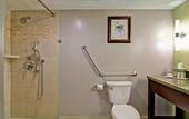 Туры в отель Doubletree by Hilton Hotel Kamloops