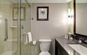 Туры в отель Doubletree by Hilton Hotel Kamloops