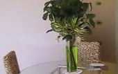 Туры в отель Exclusive Aparthotel la Reunion