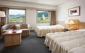 Туры в отель Hotel Excel Okayama