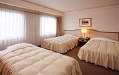 Туры в отель Hotel Excel Okayama