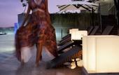 Туры в отель JW Marriott Hotel Chandigarh