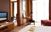 Туры в отель Dongguan Marriott Hotel