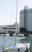Туры в отель Grandvrio Hotel Tokushima