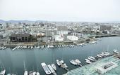 Туры в отель Grandvrio Hotel Tokushima