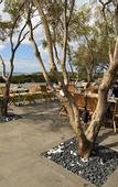 Туры в отель Pullman Bunker Bay Resort Margaret River Region