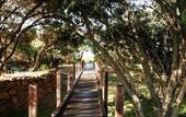 Туры в отель Pullman Bunker Bay Resort Margaret River Region