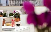 Туры в отель BADIA NUOVA Apart Hotel
