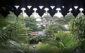Туры в отель Royal Orchid Metropole Mysore