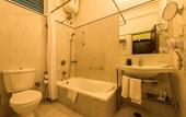 Туры в отель Royal Orchid Metropole Mysore