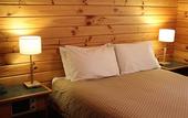 Туры в отель Alpine Lodge