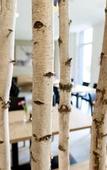 Туры в отель PLAZA INN Dachau - Munchen