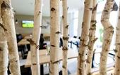 Туры в отель PLAZA INN Dachau - Munchen