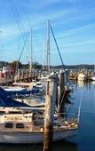 Туры в отель Lincoln Downs Resort Batemans Bay