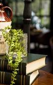 Туры в отель Lincoln Downs Resort Batemans Bay