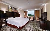 Туры в отель Aston Karimun City Hotel