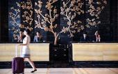 Туры в отель InterContinental Hotels SHIJIAZHUANG by IHG