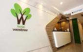 Туры в отель Hotel Westree