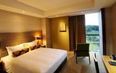 Туры в отель Nippondaira Hotel