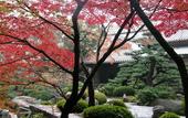 Туры в отель Imabari Kokusai Hotel