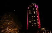 Туры в отель Imabari Kokusai Hotel