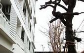 Туры в отель Kavin Buri Green Hotel