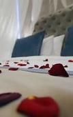 Туры в отель Park Dedeman Eskisehir
