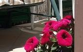 Туры в отель B&B Sogni d'oro