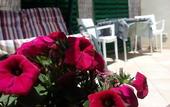 Туры в отель B&B Sogni d'oro