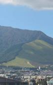Туры в отель REX HOTELBeppu