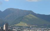Туры в отель REX HOTELBeppu