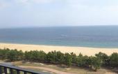 Туры в отель REX HOTELBeppu