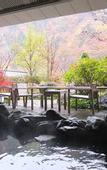 Туры в отель Nikko Senhime Monogatari