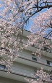 Туры в отель Nikko Senhime Monogatari