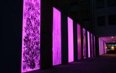 Туры в отель Schiller5 Hotel
