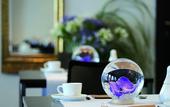 Туры в отель Schiller5 Hotel