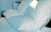 Туры в отель Schiller5 Hotel
