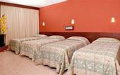 Туры в отель Luz Hotel by Castelo Itaipava