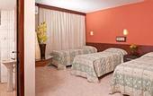 Туры в отель Luz Hotel by Castelo Itaipava