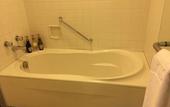 Туры в отель Hotel Nikko Kumamoto