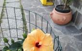 Туры в отель The Yellow House